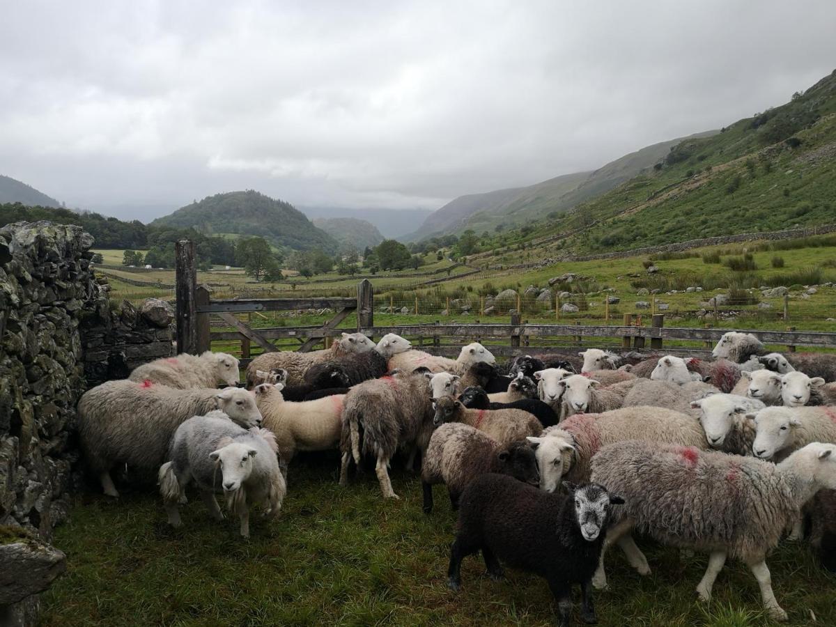 Vila Stybeck Farm Thirlmere Exteriér fotografie
